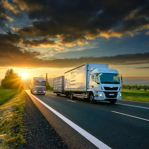 SEKIMO ĮRENGINIAI SUNKVEŽIMIAMS